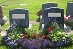 Large flower bed